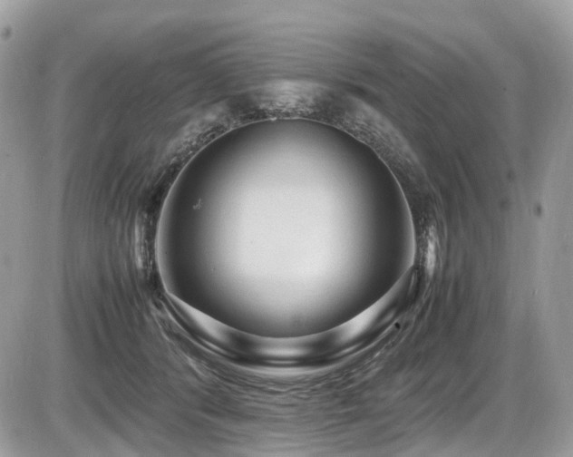 X0000087420416200704201431