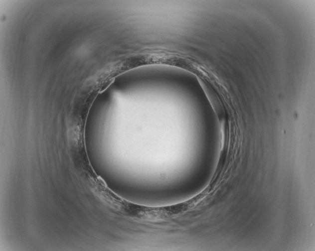 X0000087420417200704201431