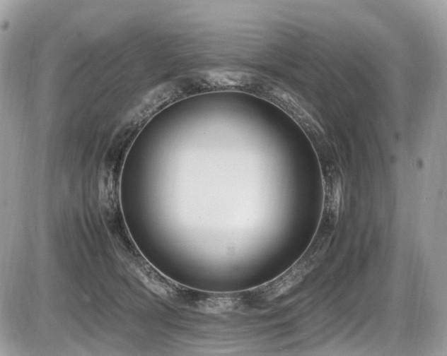 X0000087420418200704201431