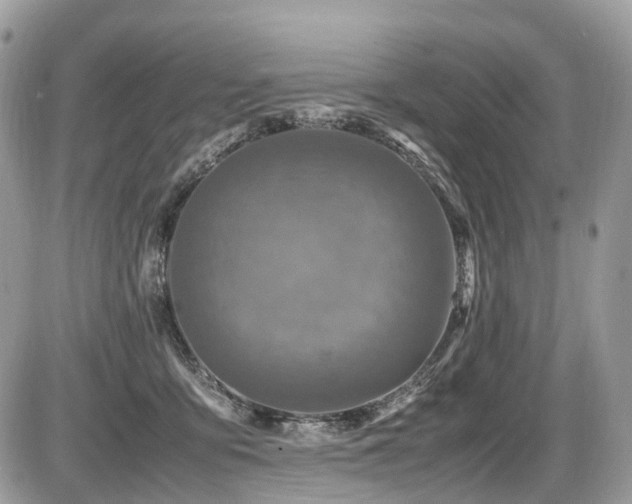 X0000087420419200704201431