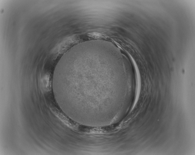 X0000087420420200704201430