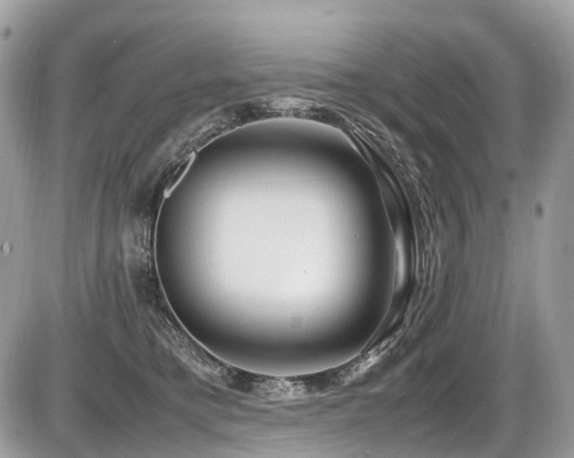 X0000087420421200704201430