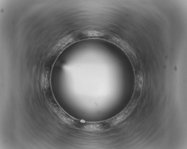 X0000087420422200704201430