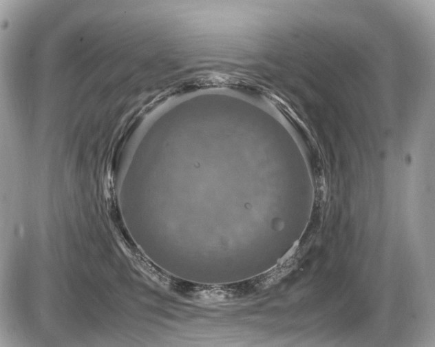 X0000087420423200704201430