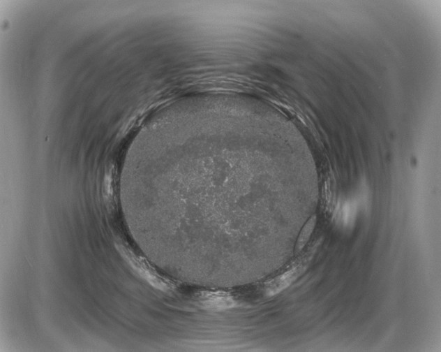 X0000087420424200704201430