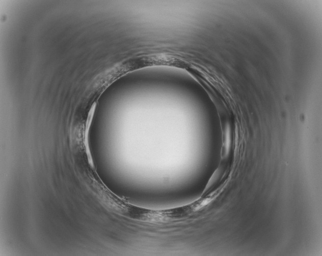 X0000087420425200704201430