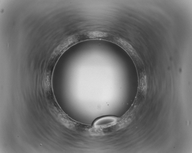 X0000087420426200704201430