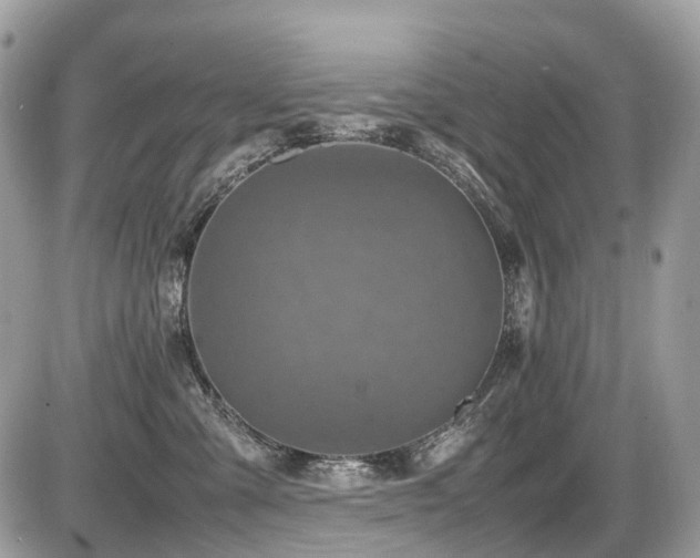 X0000087420427200704201430