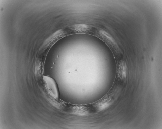 X0000087420428200704201430