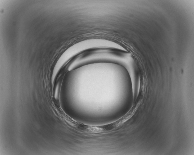 X0000087420429200704201430