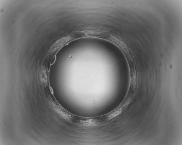 X0000087420430200704201430