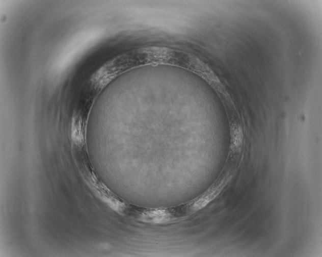 X0000087420431200704201430