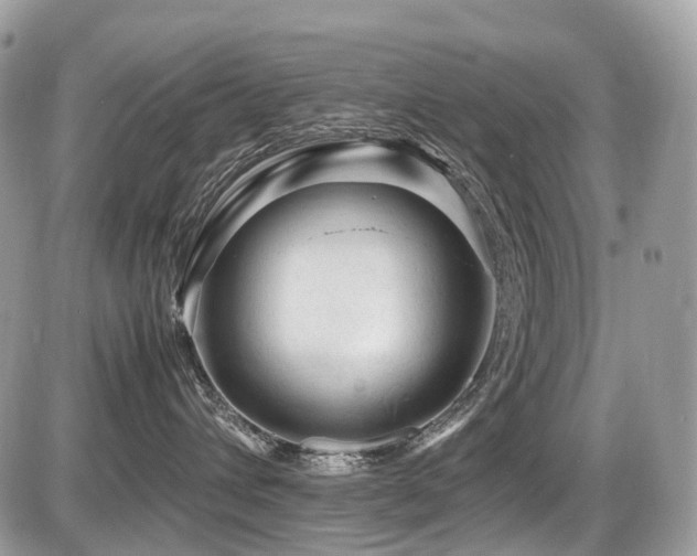 X0000087420432200704201430