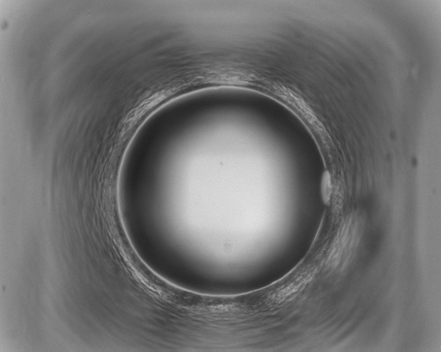 X0000087420433200704201430