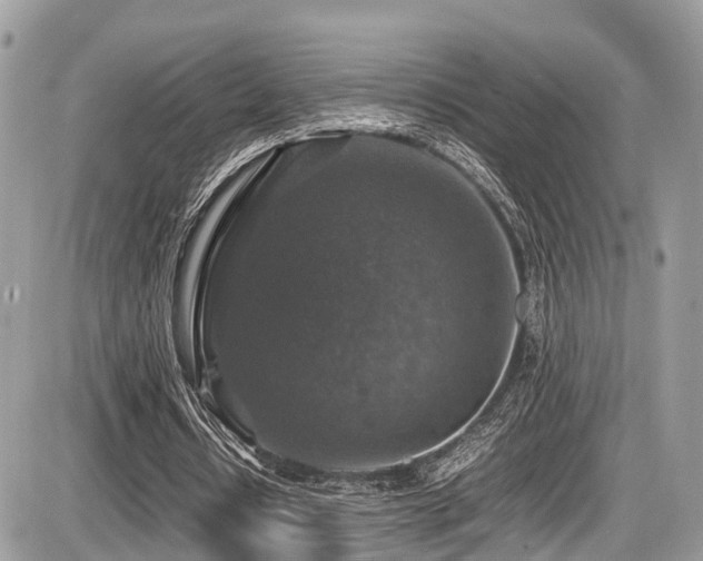 X0000087420434200704201430