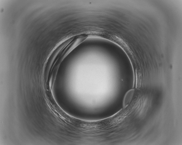 X0000087420435200704201430