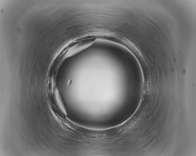 X0000087420436200704201430