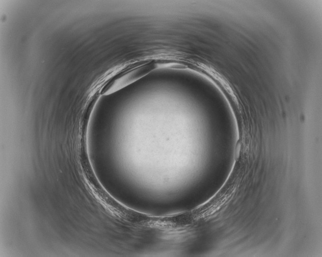 X0000087420437200704201430