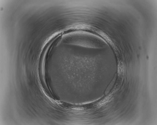 X0000087420438200704201430