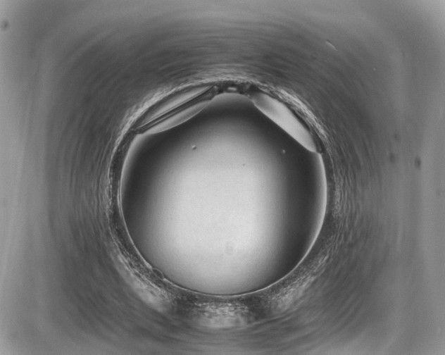 X0000087420439200704201430