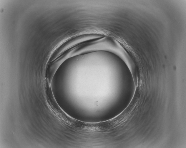 X0000087420440200704201430