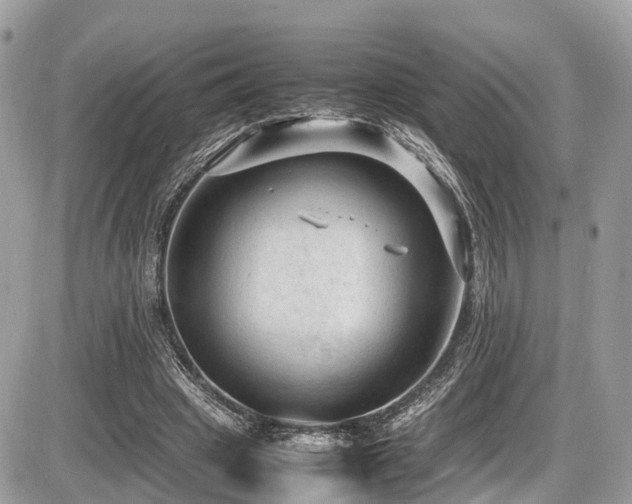 X0000087420441200704201430