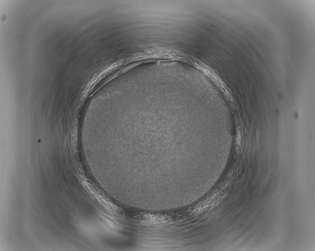 X0000087420442200704201430