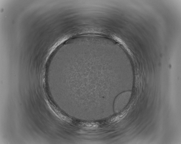 X0000087420443200704201430