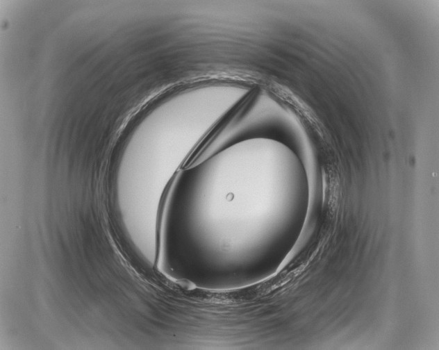 X0000087420444200704201430