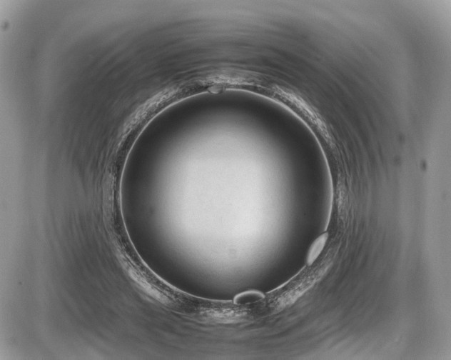 X0000087420445200704201430