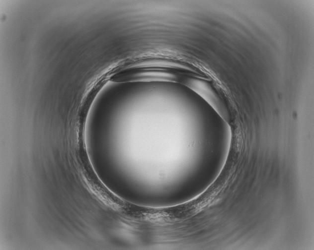 X0000087420446200704201430