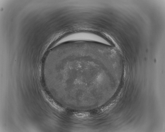 X0000087420447200704201430