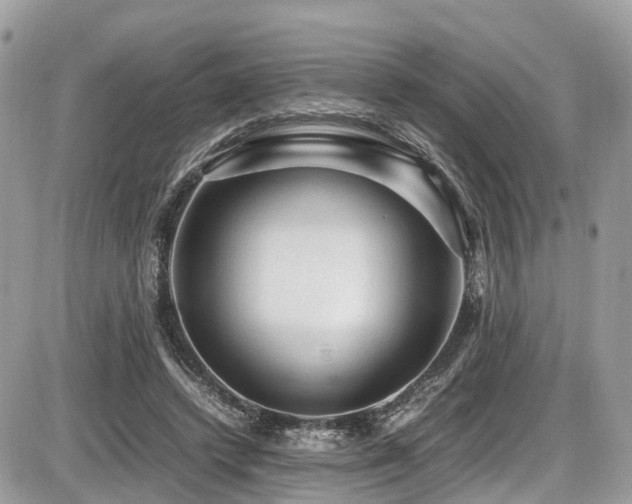 X0000087420448200704201430