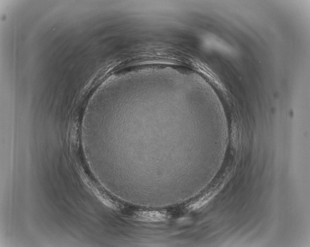 X0000087420449200704201430