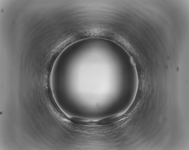 X0000087420450200704201430