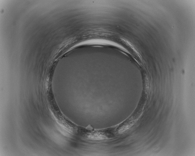 X0000087420451200704201430