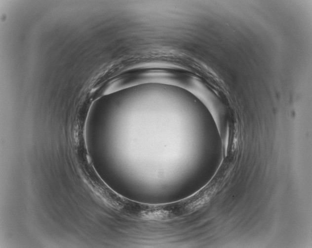 X0000087420452200704201430