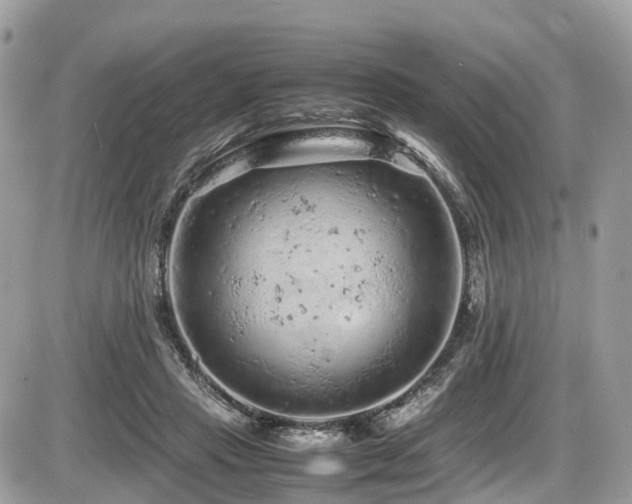 X0000087420453200704201430