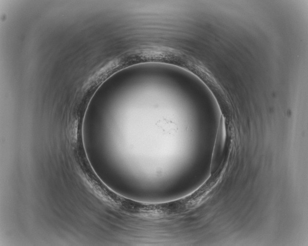 X0000087420454200704201430