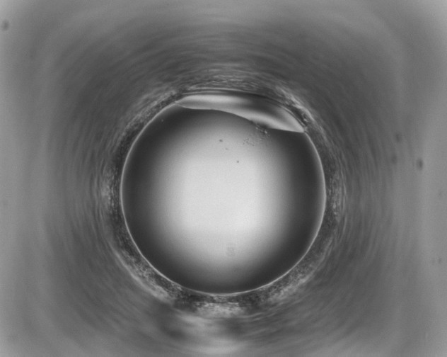 X0000087420455200704201430