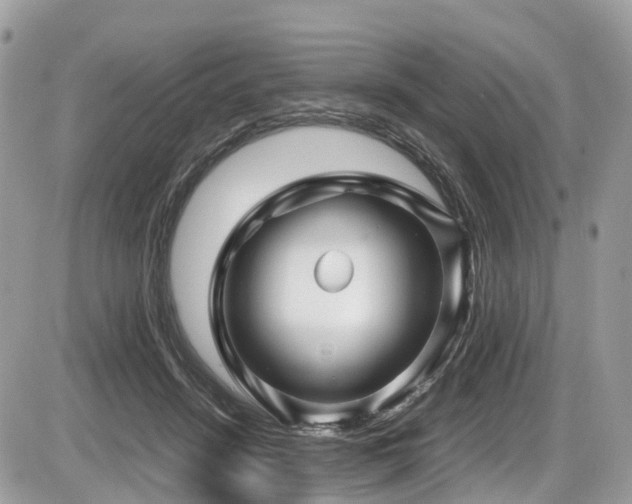 X0000087420456200704201430