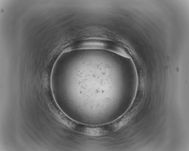 X0000087420457200704201430