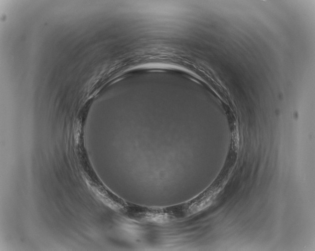 X0000087420458200704201430