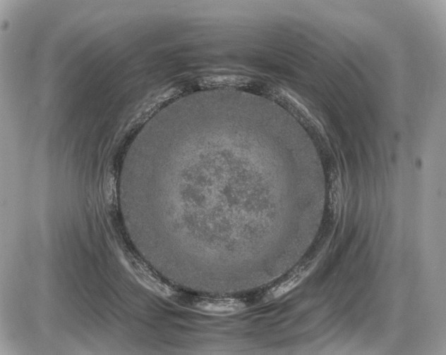 X0000087420459200704201430