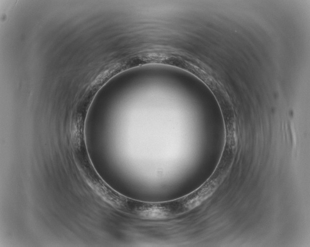 X0000087420460200704201430