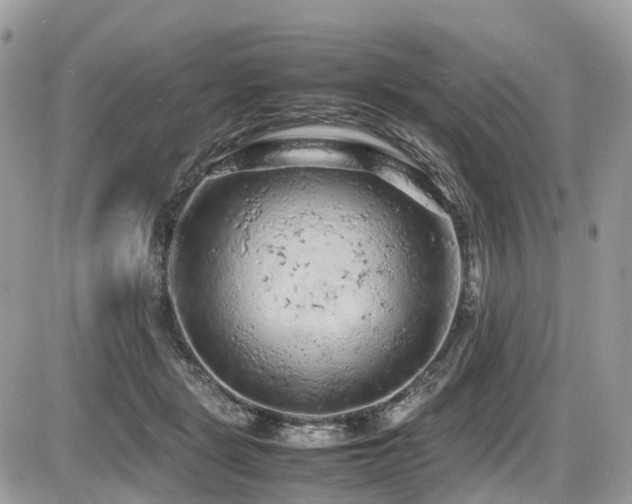 X0000087420461200704201430