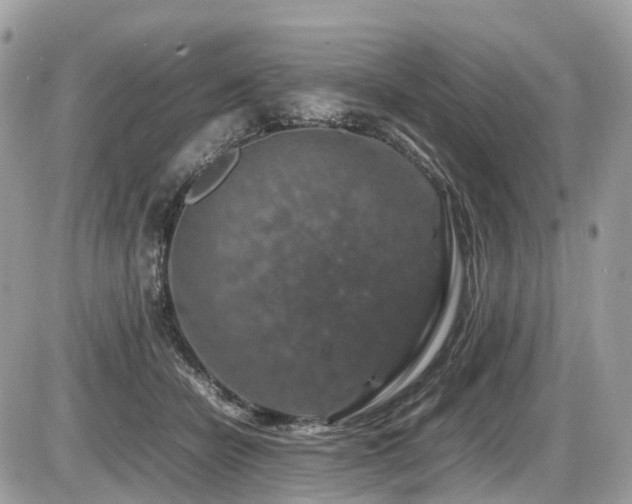 X0000087420462200704201430