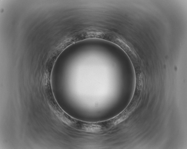 X0000087420463200704201430