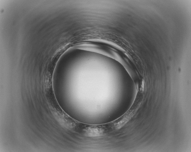 X0000087420464200704201430