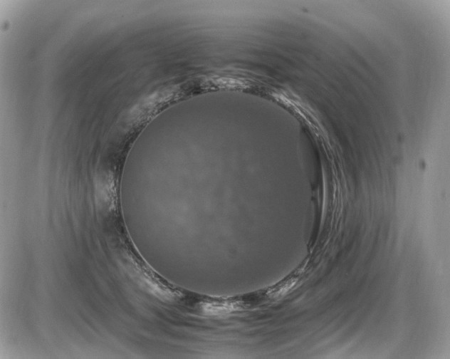 X0000087420465200704201430